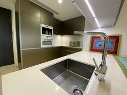 Cairnhill Nine (D9), Apartment #305252331